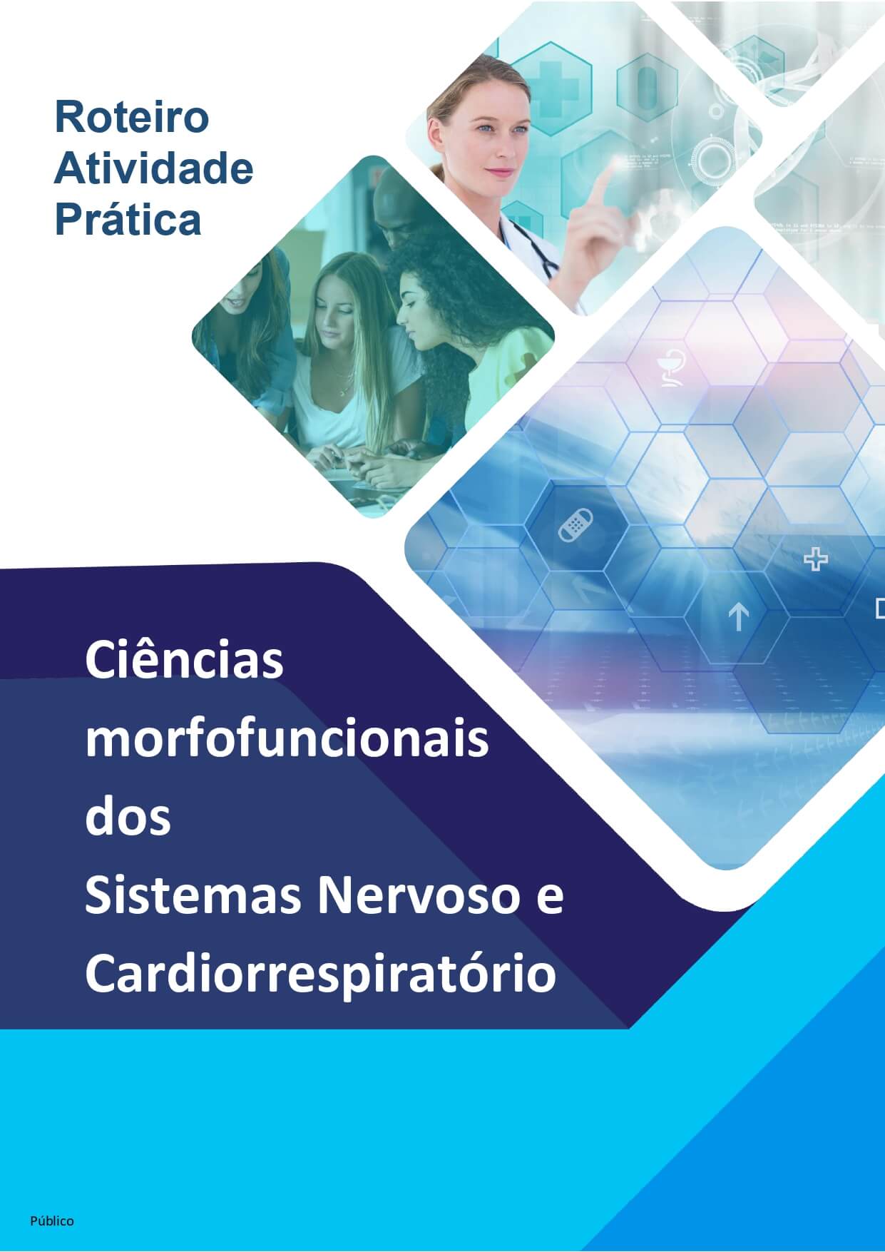 aula prática ciências morfofuncionais dos sistemas nervoso e cardiorrespiratório