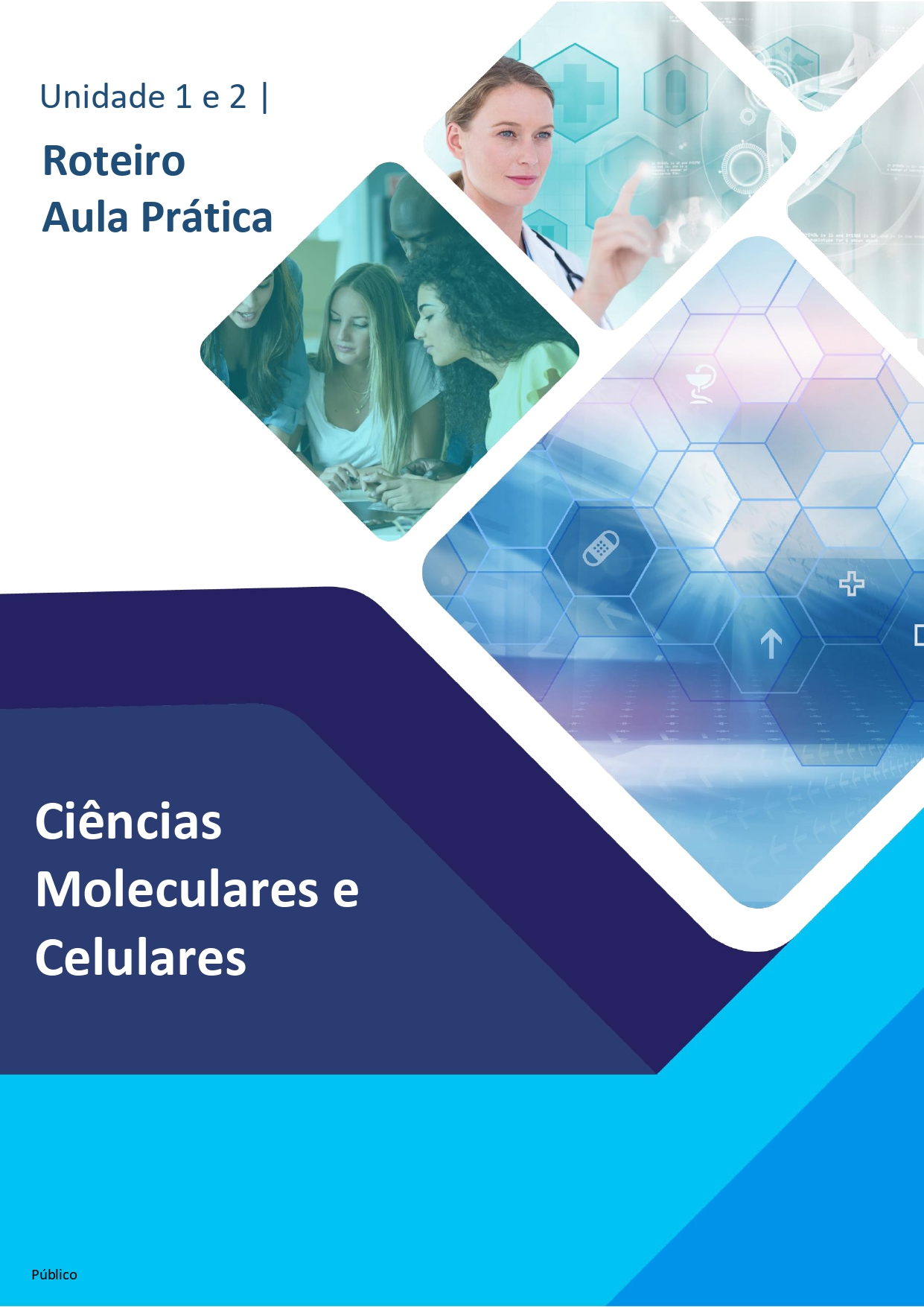 portfólio aula prática ciências moleculares e celulares