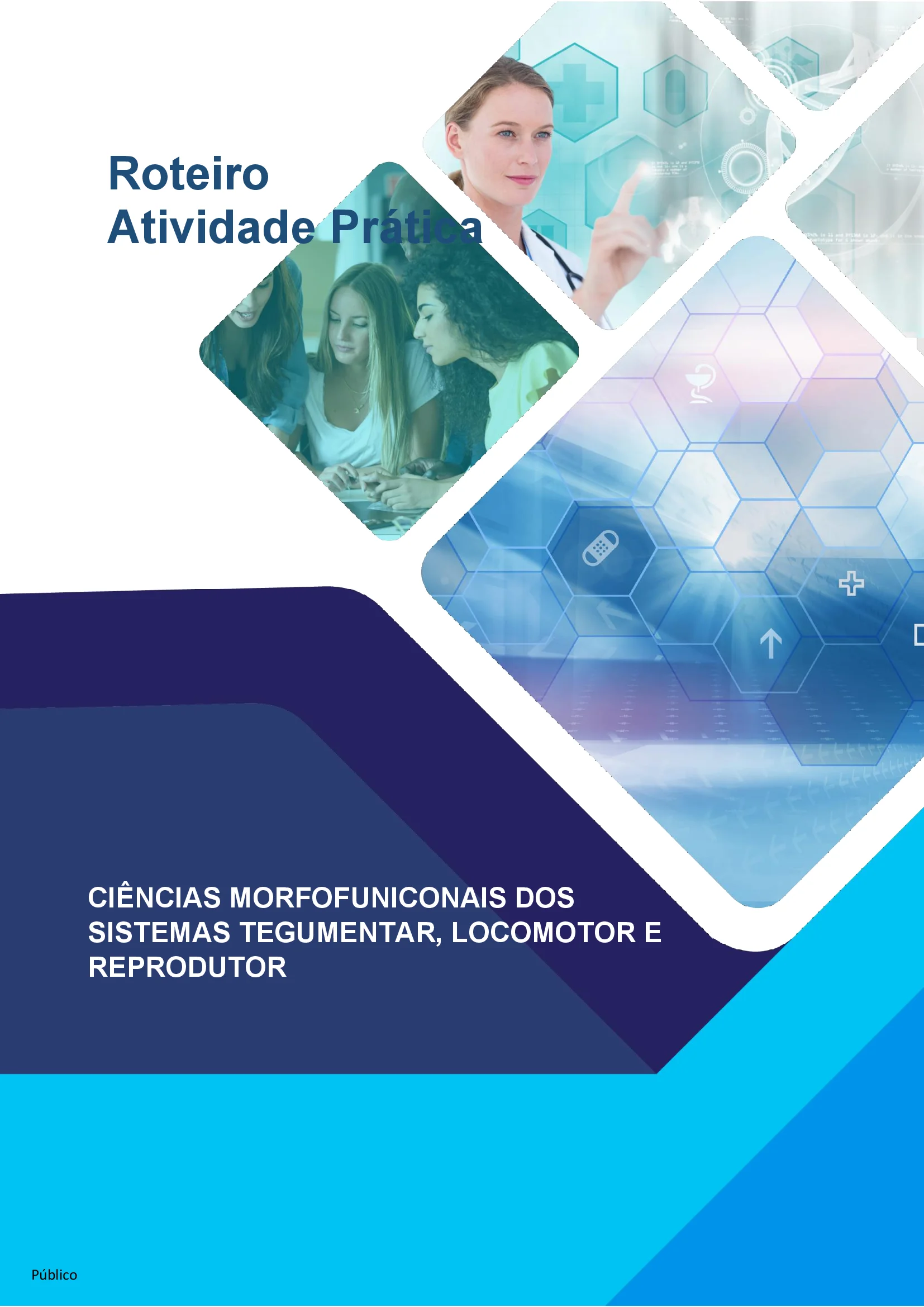 Aula prática Ciências morfofuncionais dos sistemas tegumentar, locomotor e reprodutor
