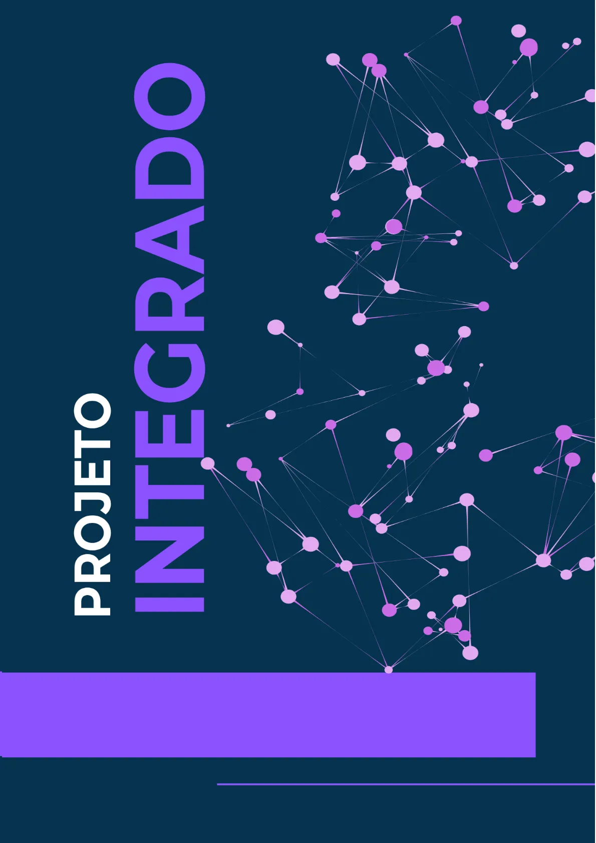 Projeto Integrado Interdisciplinar Segurança da informação